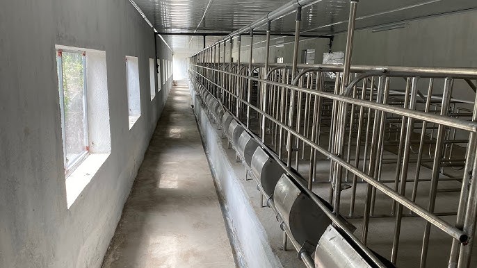 lam chuong heo nai lam chuong heo nai