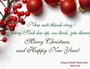Chúc Giáng sinh an lành và hạnh phúc, Năm mới AN KHANG - THỊNH VƯỢNG