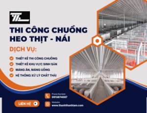 Thiết Kế Thi Công Chuồng Heo